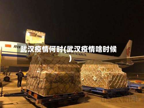 武汉疫情何时(武汉疫情啥时候)