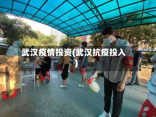 武汉疫情投资(武汉抗疫投入)