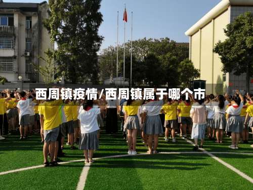 西周镇疫情/西周镇属于哪个市