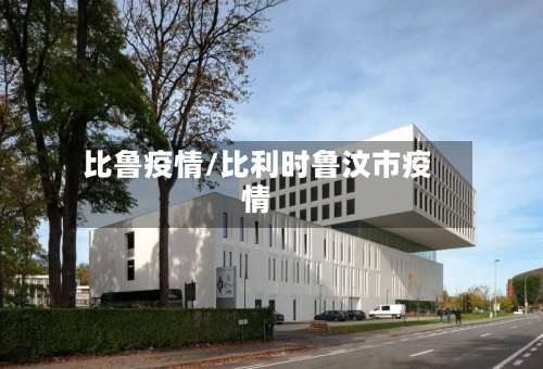 比鲁疫情/比利时鲁汶市疫情