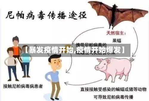 【暴发疫情开始,疫情开始爆发】-第3张图片