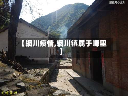 【辋川疫情,辋川镇属于哪里】