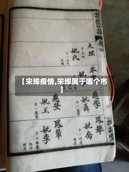 【宋埠疫情,宋埠属于哪个市】-第2张图片