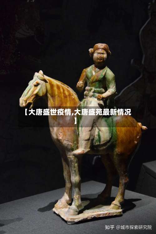 【大唐盛世疫情,大唐盛苑最新情况】