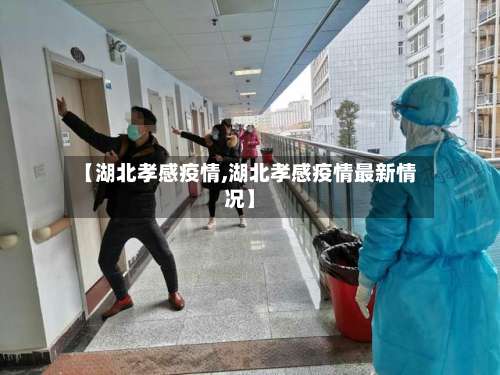 【湖北孝感疫情,湖北孝感疫情最新情况】-第3张图片