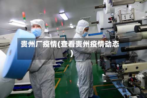 贵州厂疫情(查看贵州疫情动态)-第3张图片
