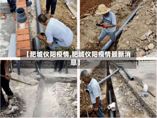 【肥城仪阳疫情,肥城仪阳疫情最新消息】-第3张图片