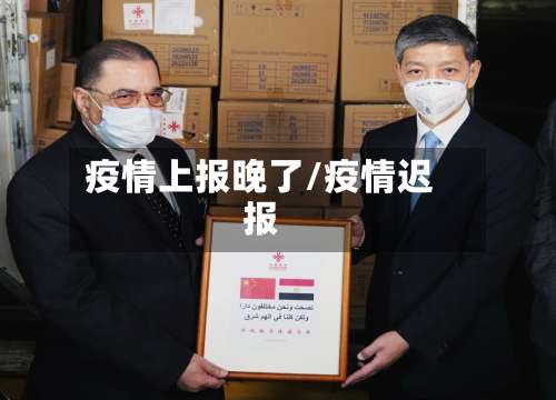 疫情上报晚了/疫情迟报-第3张图片