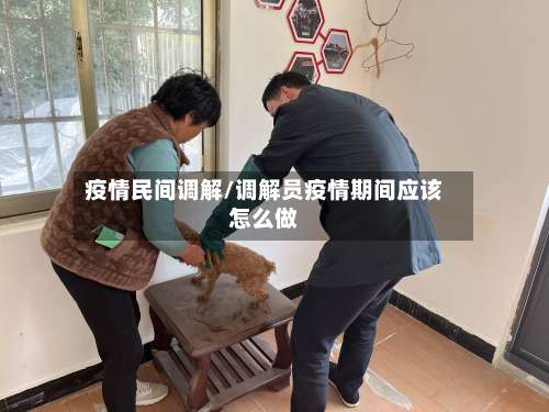 疫情民间调解/调解员疫情期间应该怎么做