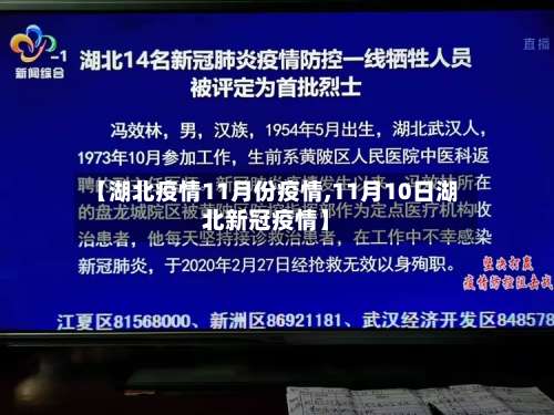 【湖北疫情11月份疫情,11月10日湖北新冠疫情】