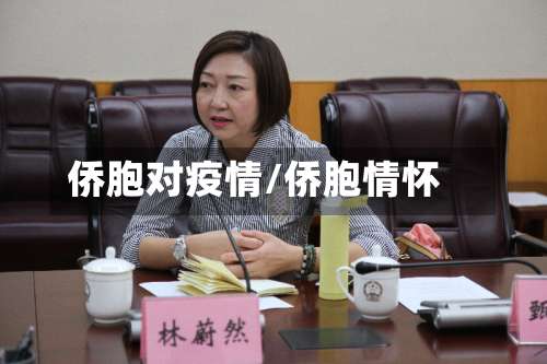 侨胞对疫情/侨胞情怀-第3张图片
