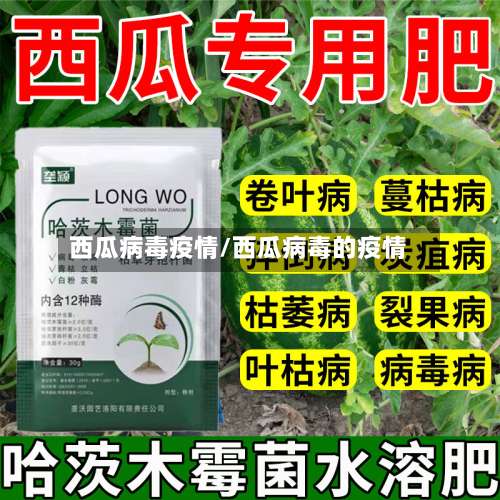 西瓜病毒疫情/西瓜病毒的疫情