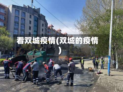 看双城疫情(双城的疫情)