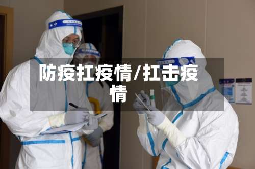 防疫扛疫情/扛击疫情-第3张图片