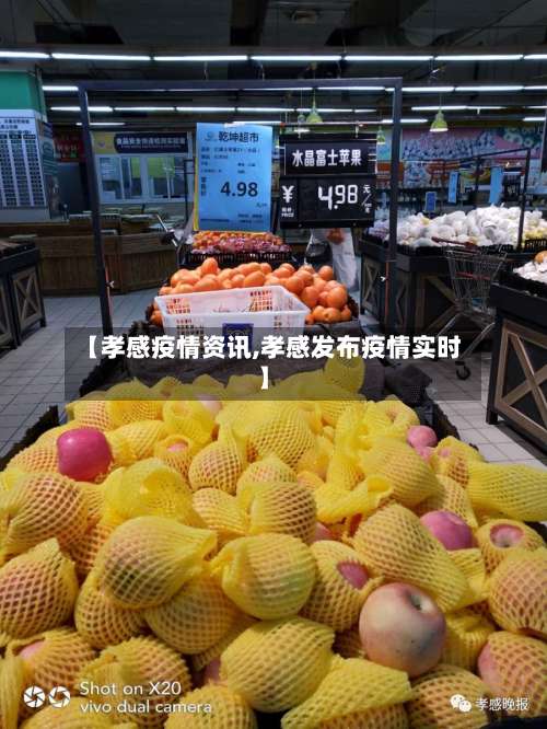 【孝感疫情资讯,孝感发布疫情实时】