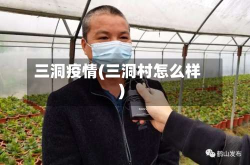 三洞疫情(三洞村怎么样)-第3张图片