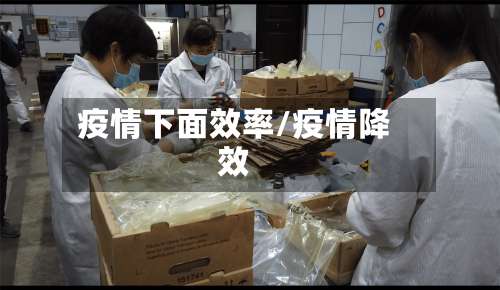 疫情下面效率/疫情降效