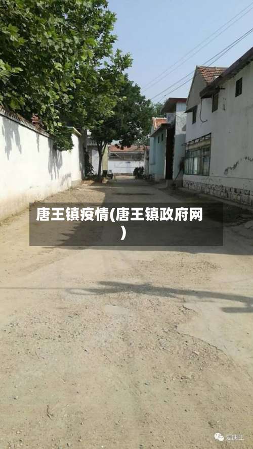 唐王镇疫情(唐王镇政府网)
