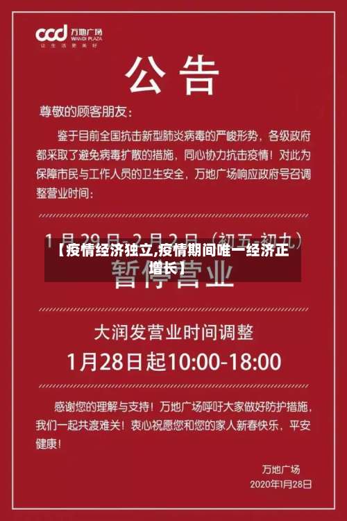 【疫情经济独立,疫情期间唯一经济正增长】-第3张图片