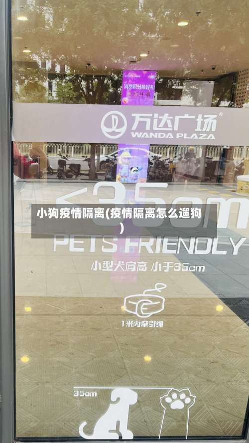 小狗疫情隔离(疫情隔离怎么遛狗)