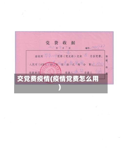 交党费疫情(疫情党费怎么用)