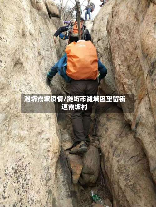 潍坊霞坡疫情/潍坊市潍城区望留街道霞坡村