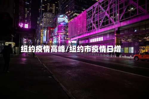 纽约疫情高峰/纽约市疫情日增