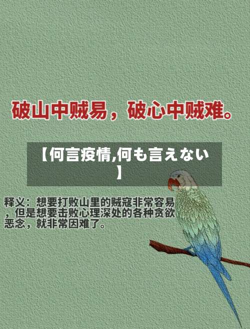 【何言疫情,何も言えない】-第3张图片