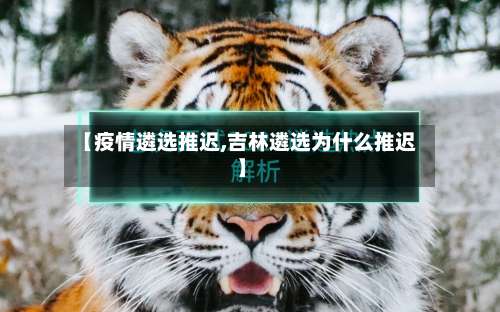 【疫情遴选推迟,吉林遴选为什么推迟】