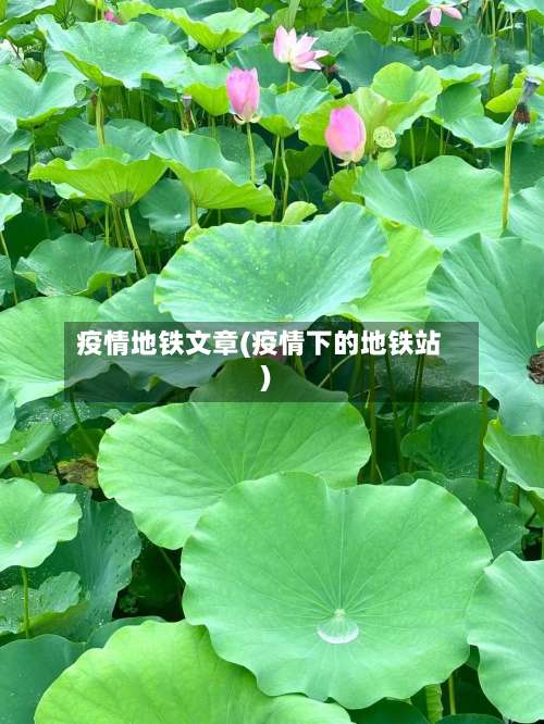 疫情地铁文章(疫情下的地铁站)-第3张图片