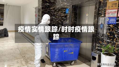 疫情实情跟踪/时时疫情跟踪