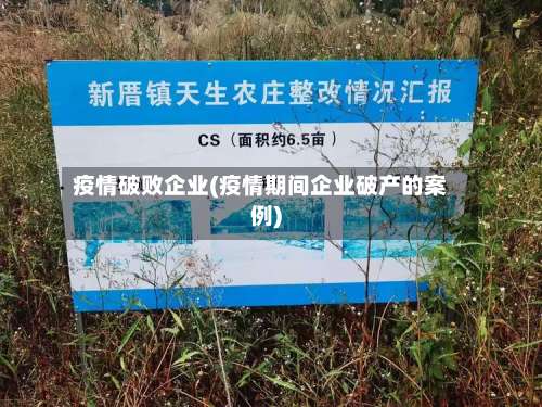 疫情破败企业(疫情期间企业破产的案例)