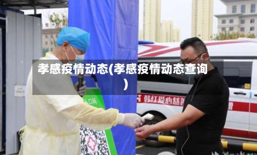 孝感疫情动态(孝感疫情动态查询)-第2张图片