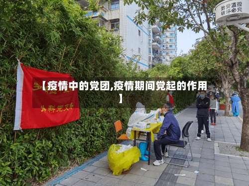 【疫情中的党团,疫情期间党起的作用】-第2张图片