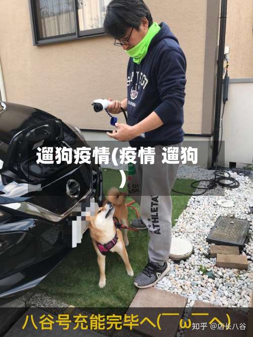 遛狗疫情(疫情 遛狗)