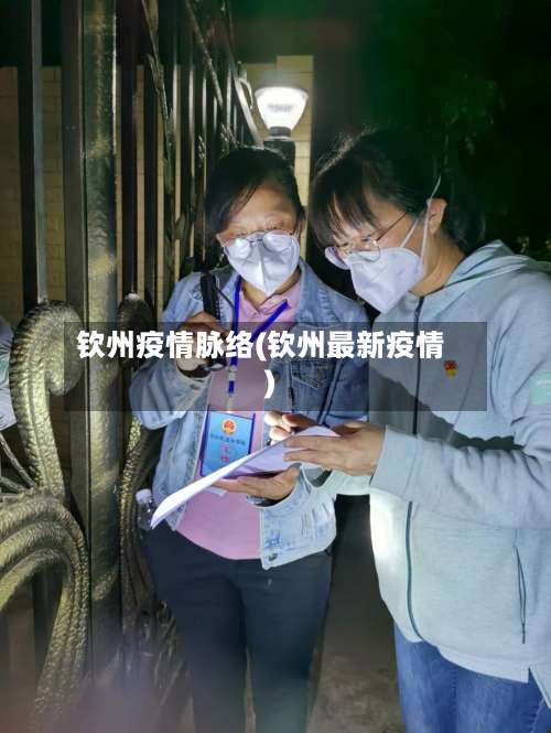 钦州疫情脉络(钦州最新疫情)-第2张图片