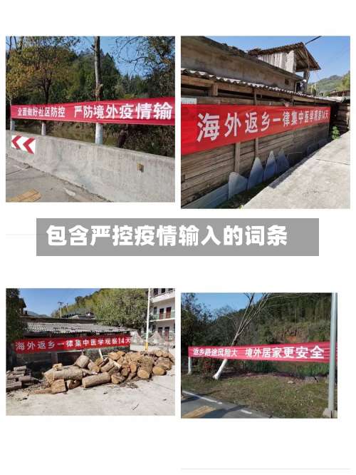 包含严控疫情输入的词条-第2张图片