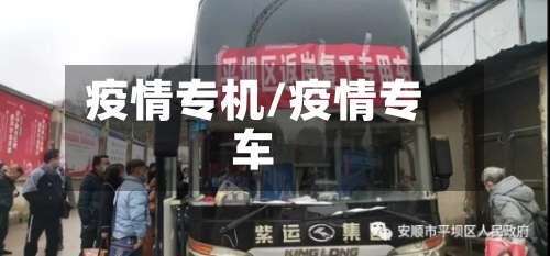 疫情专机/疫情专车-第2张图片