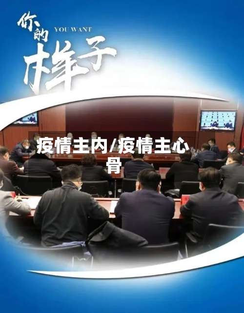 疫情主内/疫情主心骨-第2张图片