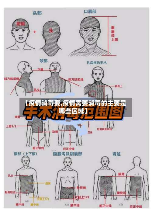 【疫情消毒要,疫情需要消毒的主要是哪些区域】