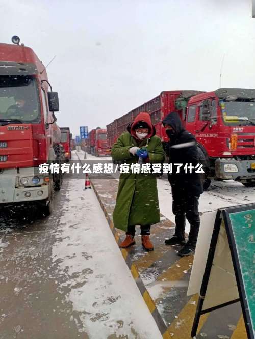 疫情有什么感想/疫情感受到了什么