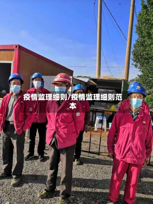 疫情监理细则/疫情监理细则范本-第2张图片