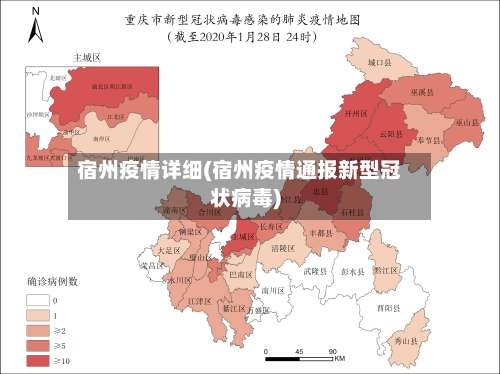 宿州疫情详细(宿州疫情通报新型冠状病毒)-第3张图片