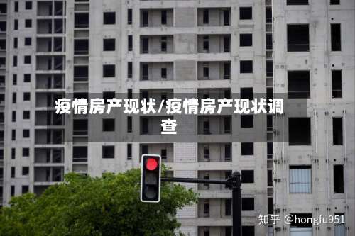 疫情房产现状/疫情房产现状调查
