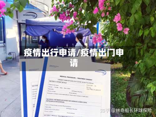 疫情出行申请/疫情出门申请-第2张图片
