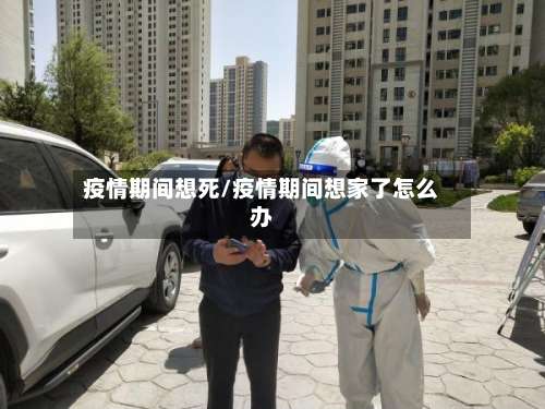 疫情期间想死/疫情期间想家了怎么办