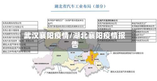 武汉襄阳疫情/湖北襄阳疫情报告-第3张图片