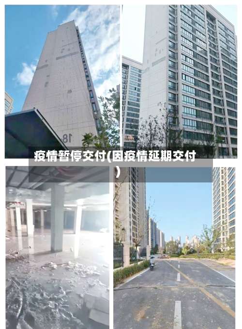 疫情暂停交付(因疫情延期交付)