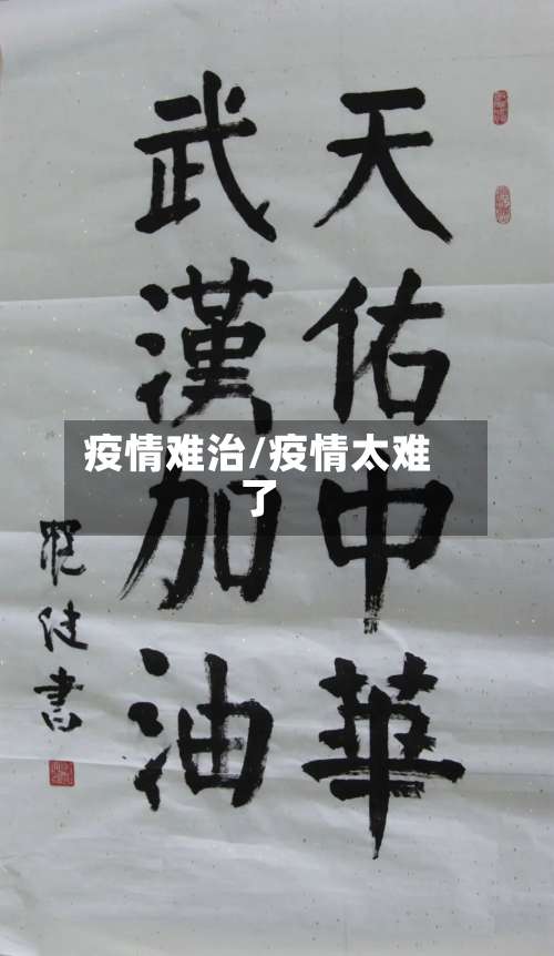 疫情难治/疫情太难了