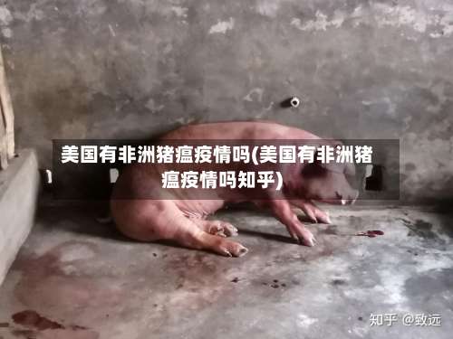美国有非洲猪瘟疫情吗(美国有非洲猪瘟疫情吗知乎)-第1张图片